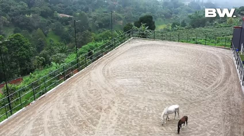 arena pacuan kuda pribadi aleta molly