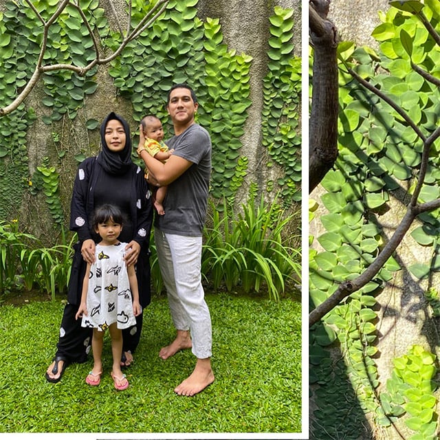 taman belakang